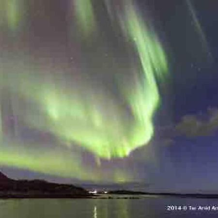 Cozy House - Stronstad @The Start Of Lofoten Stronstad i Vesteralen المظهر الخارجي الصورة