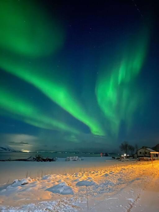 Cozy House - Stronstad @The Start Of Lofoten Stronstad i Vesteralen المظهر الخارجي الصورة