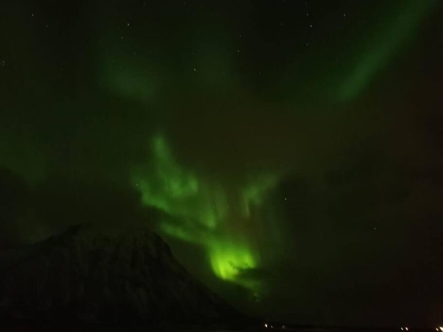 Cozy House - Stronstad @The Start Of Lofoten Stronstad i Vesteralen المظهر الخارجي الصورة